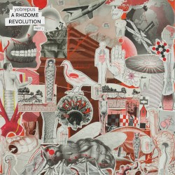 A Rhizome Revolution - Part 1