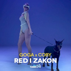 Red i zakon