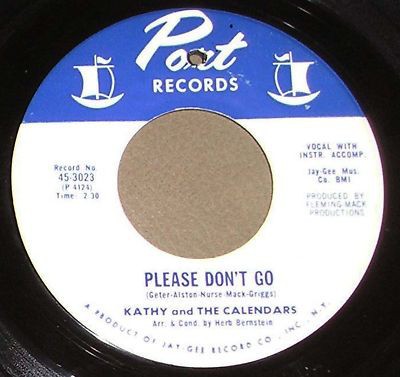 Please Don't Go
