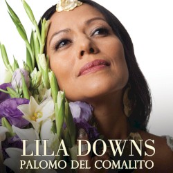 Palomo del comalito