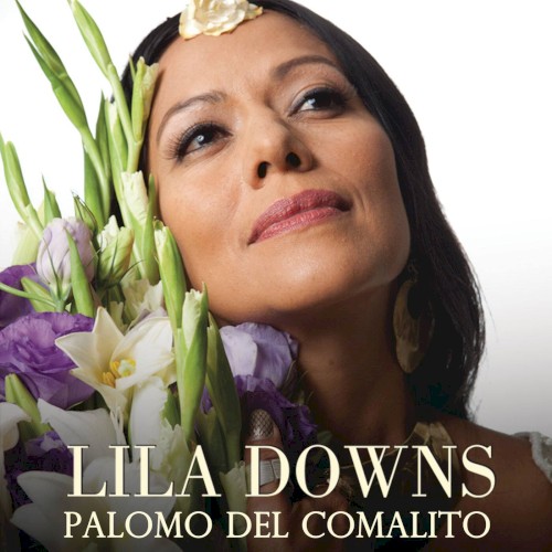 Palomo del comalito
