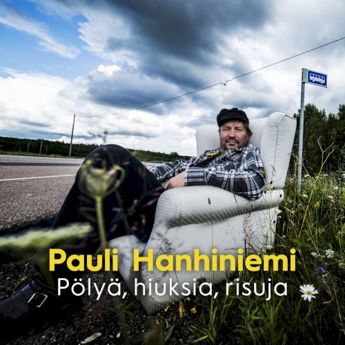 Pölyä, hiuksia, risuja