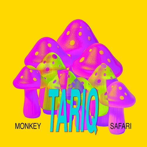 Tariq