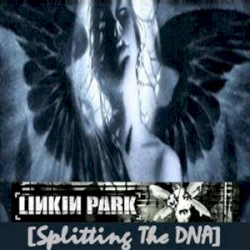 Splitting the DNA