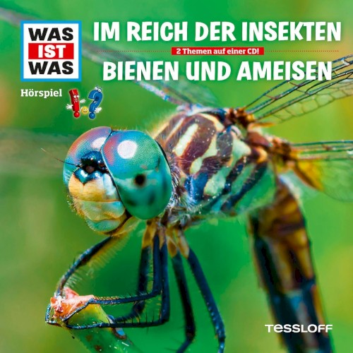 Im Reich der Insekten / Bienen & Ameisen