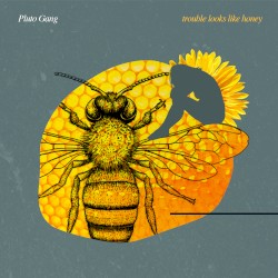 Trouble Looks Like Honey