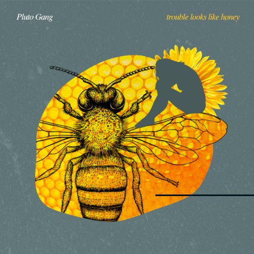 Trouble Looks Like Honey