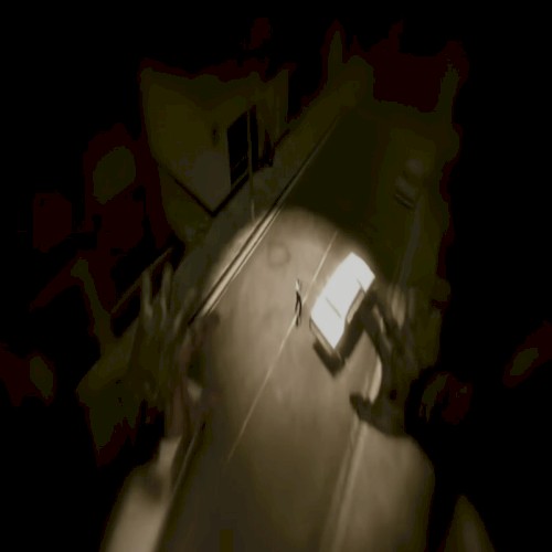 l4d2. +dgpk +fshn