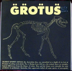 Grotus