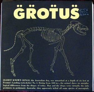 Grotus