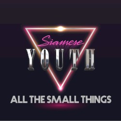 All The Small Things