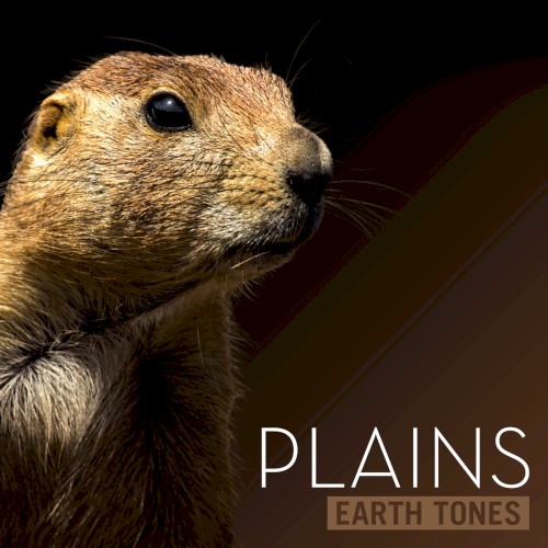 Plains