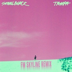 Tampa (FM Skyline remix)