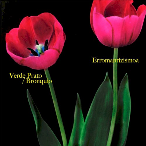Erromantizismoa