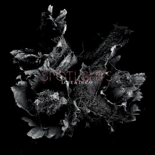 Love & Decay