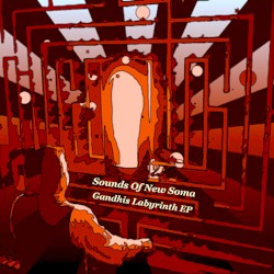 Gandhis Labyrinth
