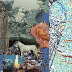 Pisces Sun, Capricorn Rising