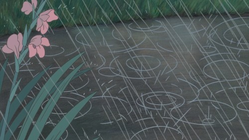 Rain