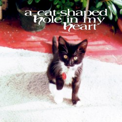 A Cat‐Shaped Hole in My Heart