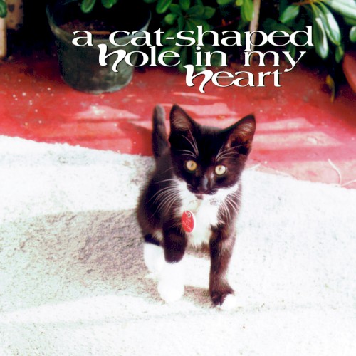 A Cat‐Shaped Hole in My Heart