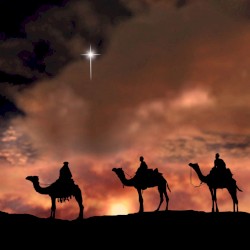 Silent Night