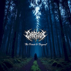 The Forest & Beyond