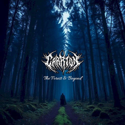 The Forest & Beyond