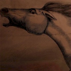 Mare