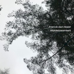 Waldeinsamkeit