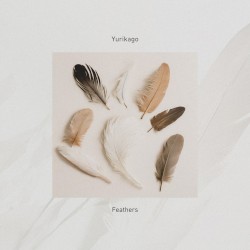 Feathers