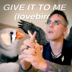 Give It To Me (lovebird)