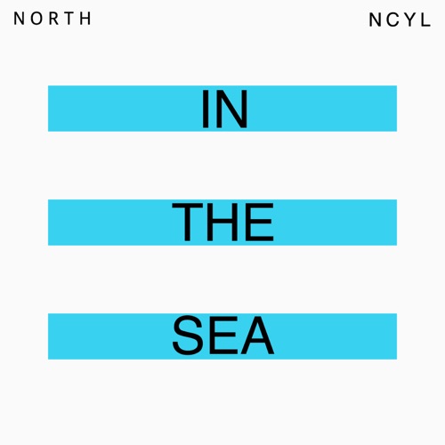 IN THE SEA