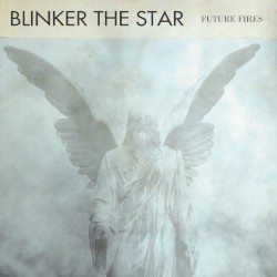 Future Fires