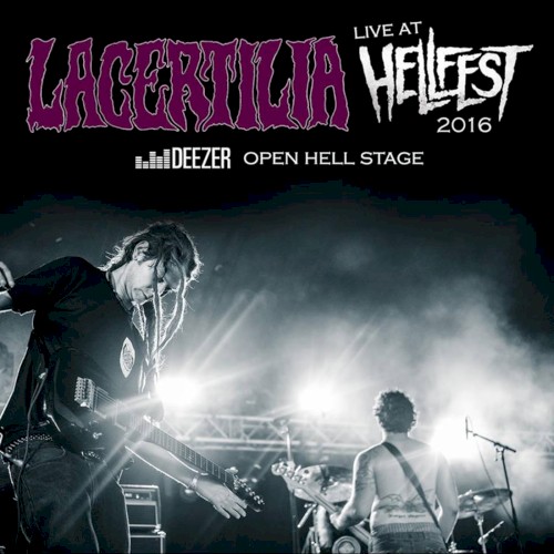 Live at Hellfest 2016