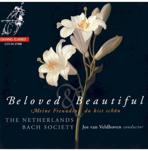 Beloved & Beautiful: Meine Freundin, du bist schön