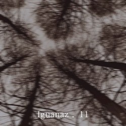 iguanaz. 11