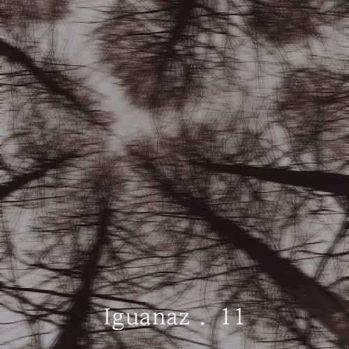 iguanaz. 11