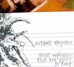 Small Explosions That Are Yours to Keep