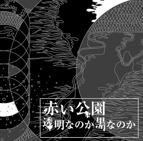 透明なのか黒なのか