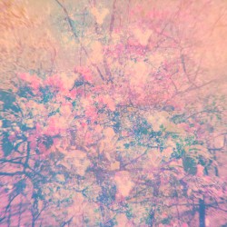 Motions