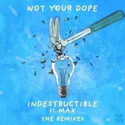 Indestructible (the remixes)