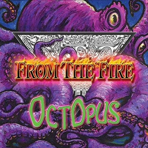 Octopus