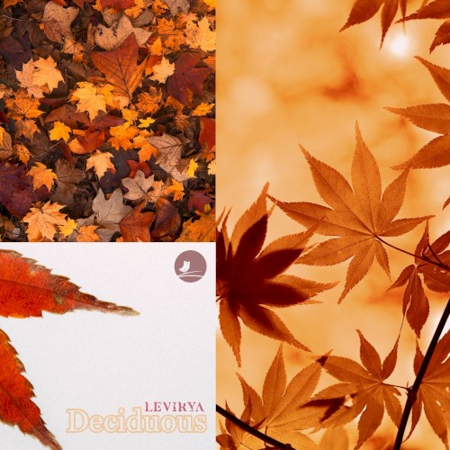 Deciduous