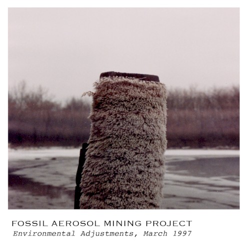 Environmental Adjustments, March 1997