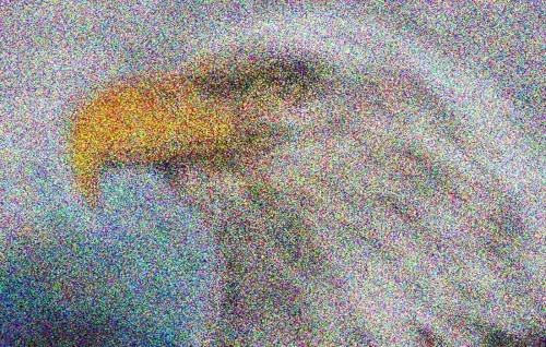 LEESE GEESE