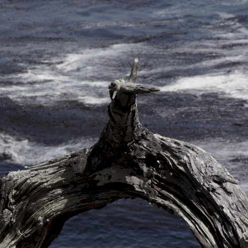 Eight Themes
