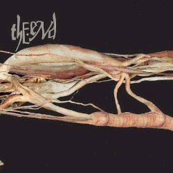 Transfer Trachea Reverberations From Point: False Omniscient