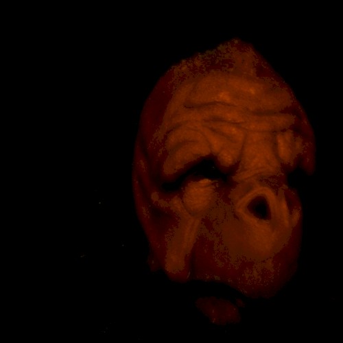 Working Title: Paracosmetic