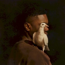 Talking to a Dove