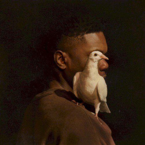 Talking to a Dove